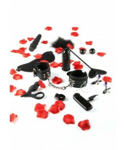 SET AMAZING PLEASURE SEX TOY KIT